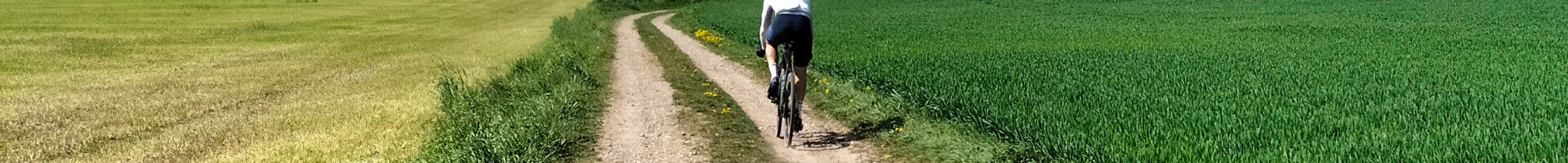 gravelbike header