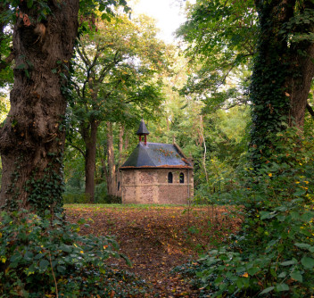 Blog abels blokken ()