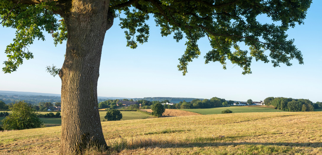 zuid limburg